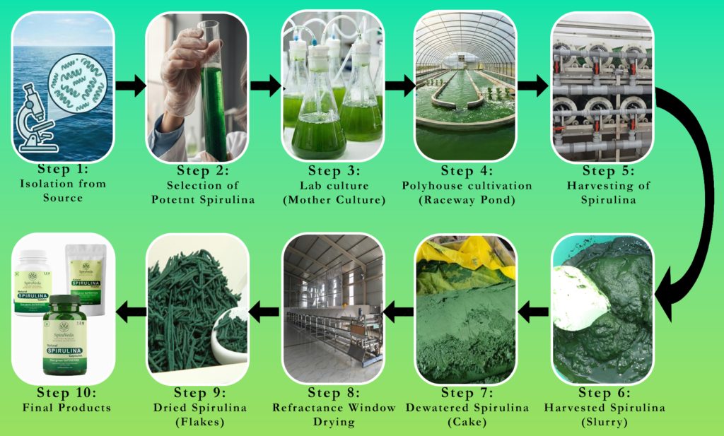 cultivation and cconsumption