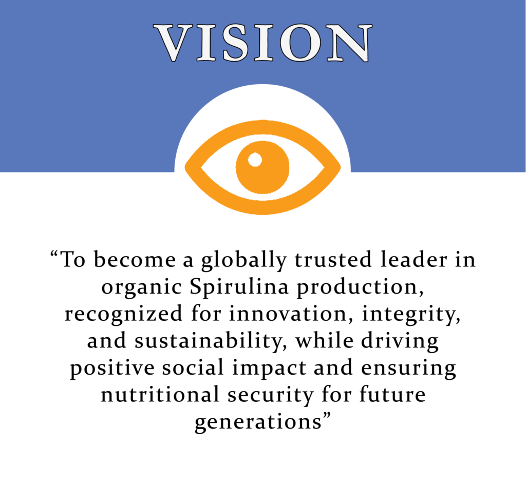 vision small website